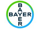 bayer-logo
